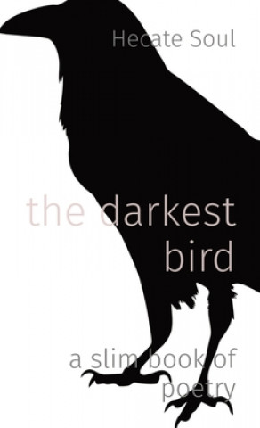 Boek darkest bird Jude Naples