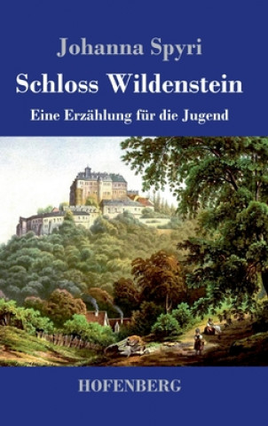 Kniha Schloss Wildenstein 