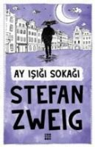 Knjiga Ay Isigi Sokagi 