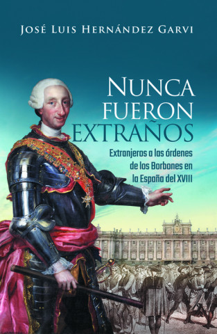 Book NUNCA FUERON EXTRAÑOS JOSE LUIS HERNANDEZ GARVI