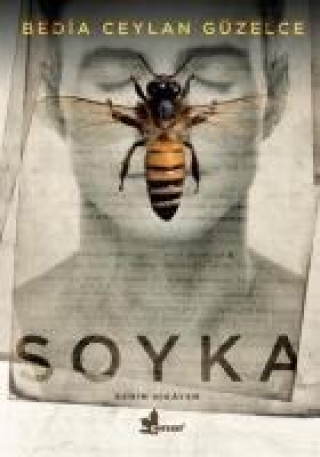 Книга Soyka 