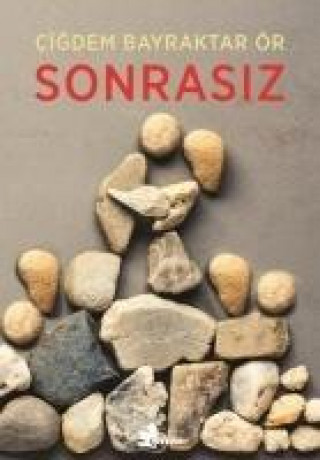 Knjiga Sonrasiz 