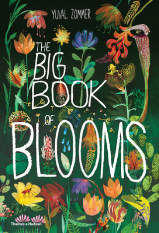Kniha Big Book of Blooms Elisa Biondi