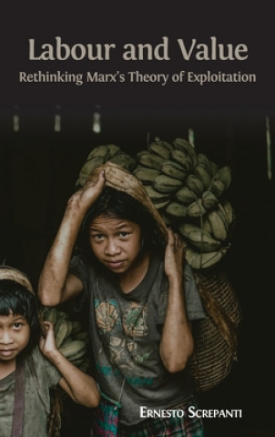 Book Labour and Value Ernesto Screpanti
