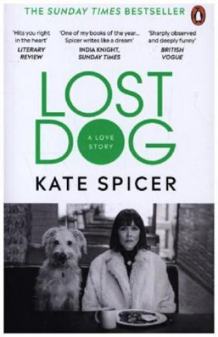Βιβλίο Lost Dog Kate Spicer