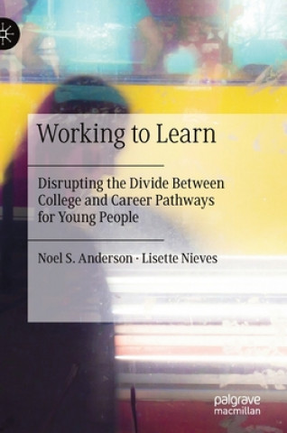 Buch Working to Learn Noel S. Anderson