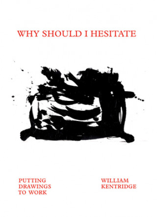 Kniha William Kentridge: Why Should I Hesitate? David Freedberg