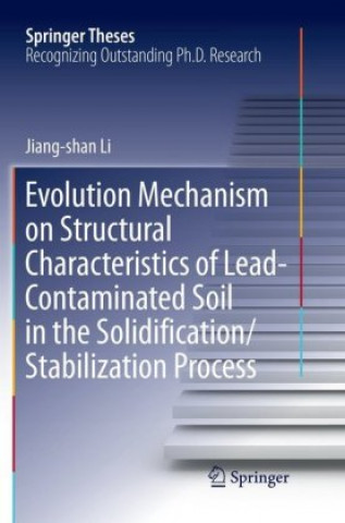 Könyv Evolution Mechanism on Structural Characteristics of Lead-Contaminated Soil in the Solidification/Stabilization Process 