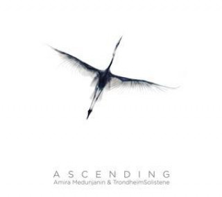 Zvok Ascending 
