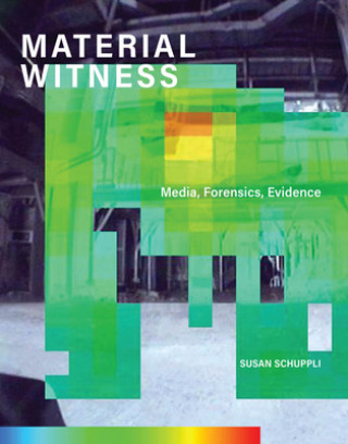 Kniha MATERIAL WITNESS Schuppli