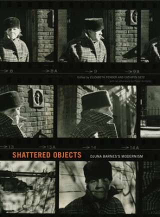 Knjiga Shattered Objects Elizabeth Pender