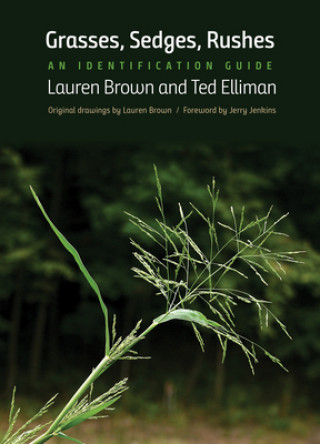 Książka Grasses, Sedges, Rushes Lauren Brown
