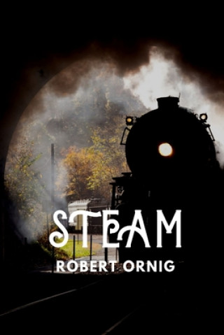 Kniha Steam Robert Ornig