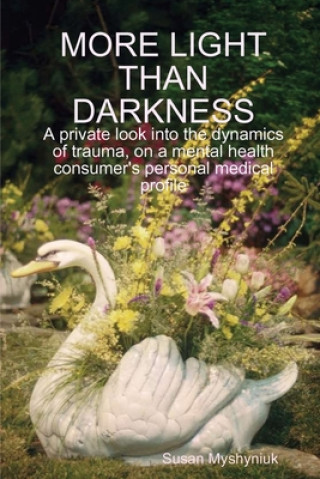 Könyv More LIGHT THAN DARKNESS Susan Myshyniuk