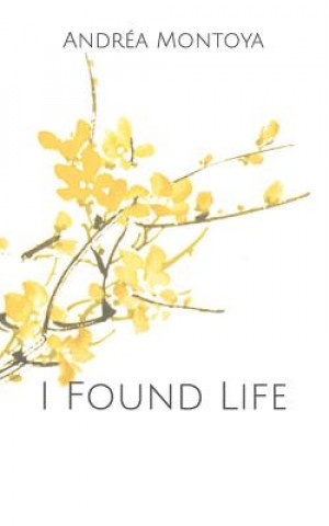 Könyv I Found Life: a poetry collection Andrea Montoya