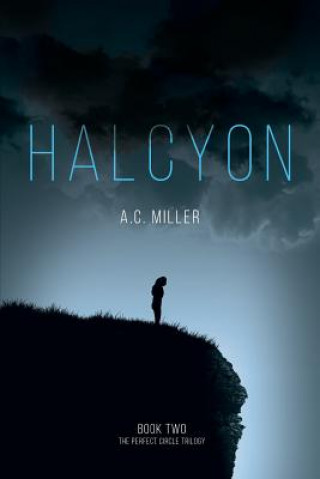 Kniha Halcyon A C Miller