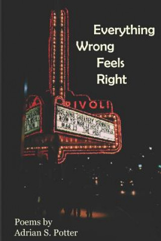 Buch Everything Wrong Feels Right Lauren Brandmeier