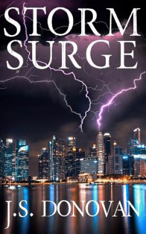 Kniha Storm Surge J S Donovan