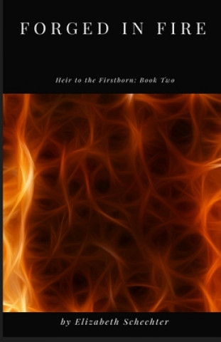Βιβλίο Forged in Fire Schechter Elizabeth Schechter