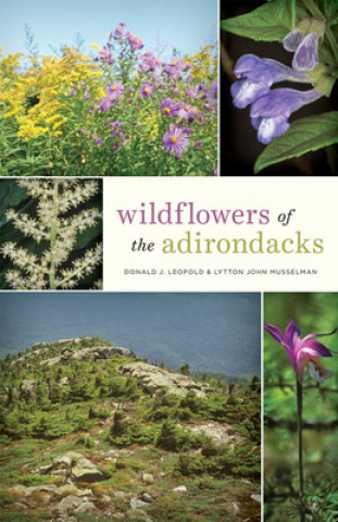 Book Wildflowers of the Adirondacks Leopold