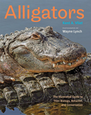 Carte Alligators Kent A Vliet
