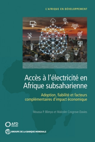 Kniha Acces a l'electricite en Afrique subsaharienne Moussa P. Blimpo
