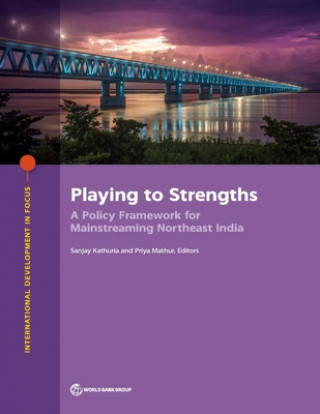 Könyv Playing to Strengths Sanjay Kathuria