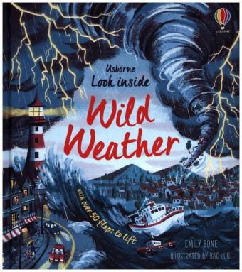Kniha Look Inside Wild Weather EMILY BONE