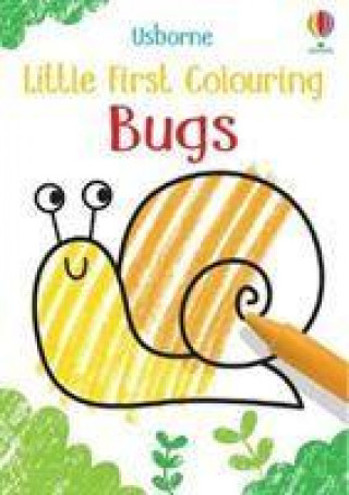 Könyv Little First Colouring Bugs KIRSTEEN ROBSON