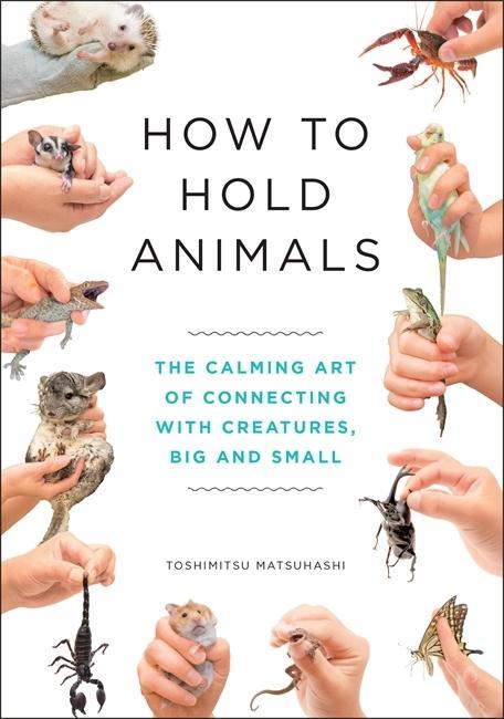 Kniha How to Hold Animals 