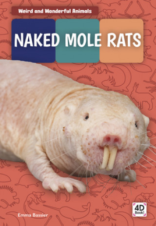 Carte Weird and Wonderful Animals: Naked Mole Rats Emma Bassier