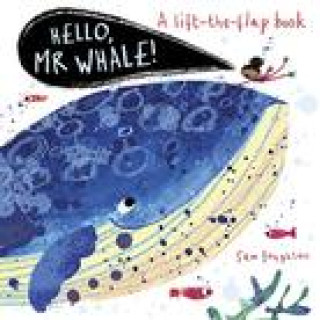 Kniha Hello, Mr Whale! Sam Boughton