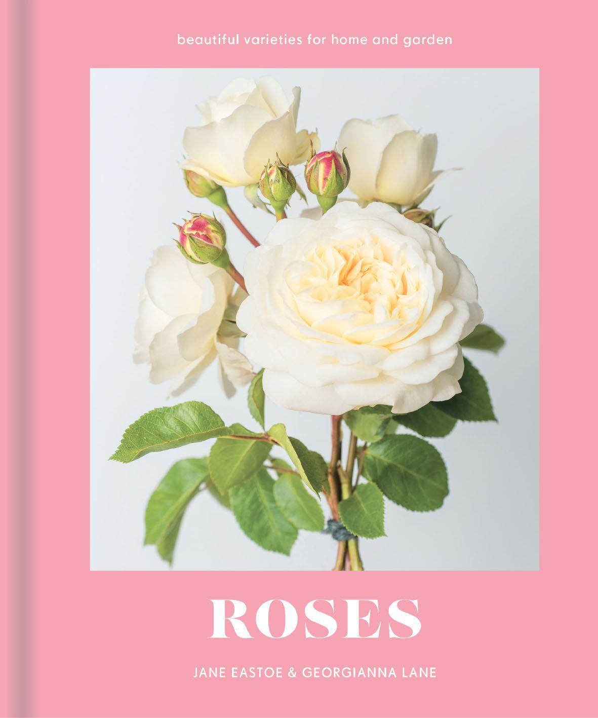 Buch Roses Jane Eastoe