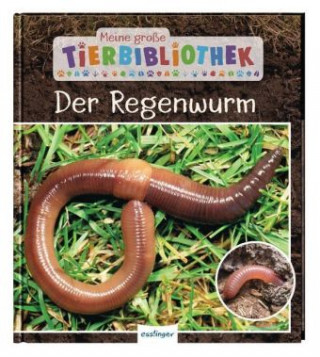 Könyv Meine große Tierbibliothek: Der Regenwurm 