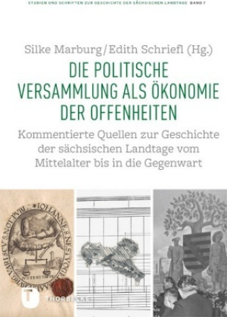 Kniha Die politische Versammlung als Ökonomie der Offenheiten Silke Marburg
