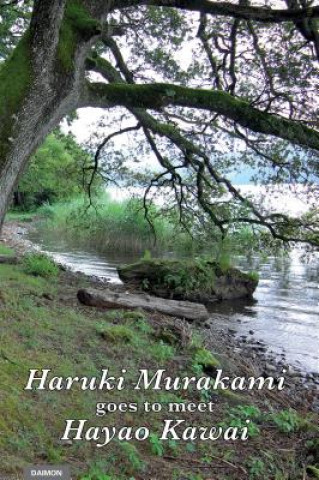 Könyv Haruki Murakami Goes to Meet Hayao Kawai Hayao Kawai