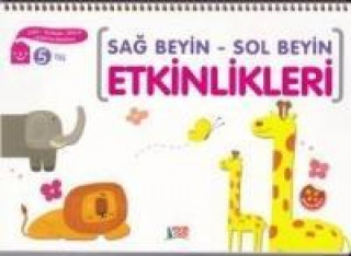 Knjiga Sag Beyin - Sol Beyin Etkinlikleri 5 Yas 