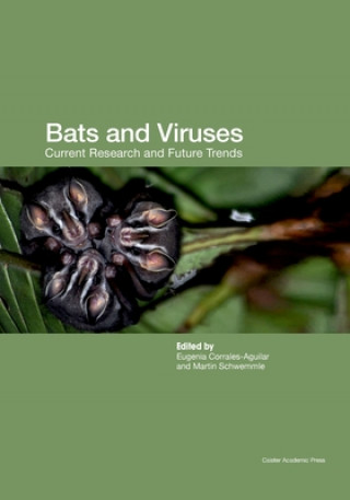 Kniha Bats and Viruses Martin Schwemmle