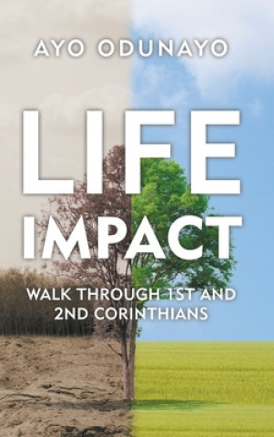 Knjiga Life Impact Ayo Odunayo