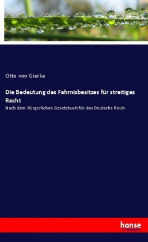 Książka Die Bedeutung des Fahrnisbesitzes für streitiges Recht 