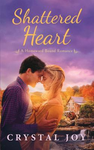 Boek Shattered Heart Crystal Joy