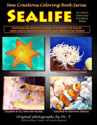 Kniha New Creations Coloring Book Series: Sealife Teresa Davis