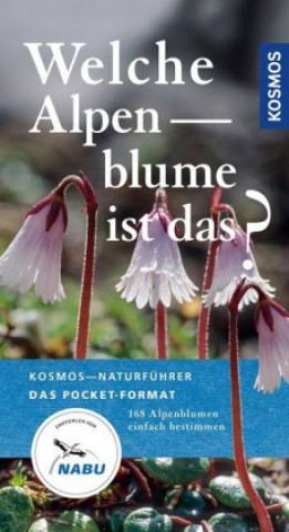 Kniha Welche Alpenblume ist das? 