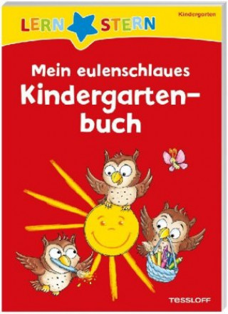 Kniha LERNSTERN. Mein eulenschlaues Kindergartenbuch Julia Meyer