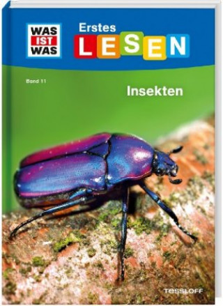 Kniha WAS IST WAS Erstes Lesen Band 11. Insekten Christina Braun