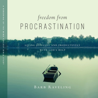 Book Freedom from Procrastination Barb Raveling