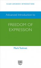 Advanced Introduction to Freedom of Expression