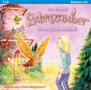 Audio Eulenzauber - Die magische Botschaft, 2 Audio-CD Ina Brandt