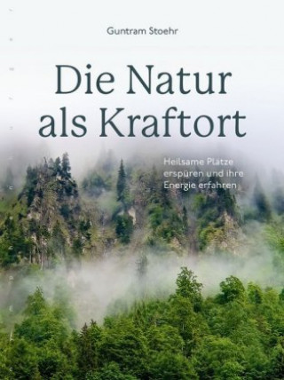 Kniha Die Natur als Kraftort Guntram Stoehr