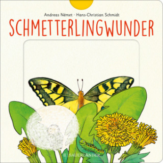 Kniha Schmetterlingwunder Hans-Christian Schmidt